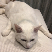 そら