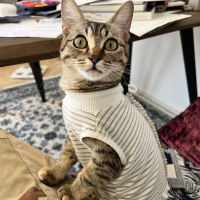 RITA
