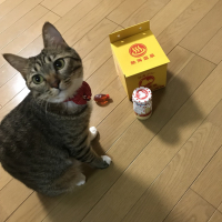 にぼし