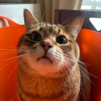 とらんぷ