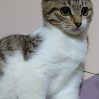 サミー
