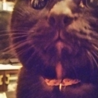 ろく