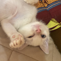 銀次郎