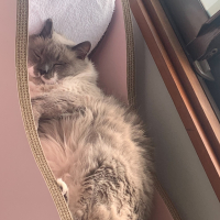 Mi Maria