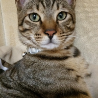 覇玖