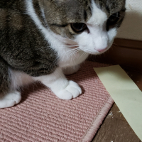 未登録