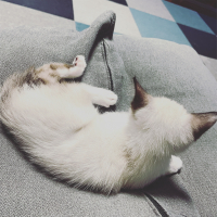 蘭