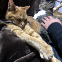 サニー