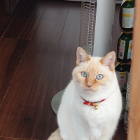 ハナさん