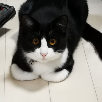 みにっち　ビリー