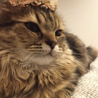 エリザベス