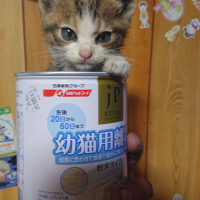 那由多(ナユタ)