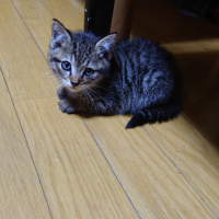 マーティ・マクフライ