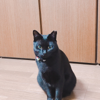 楓