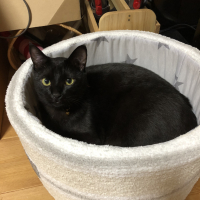 くろまる