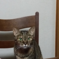 ナッツ