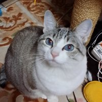 ルーク