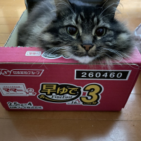 ネロ