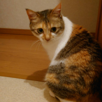 ベル