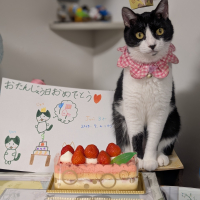 じゅり