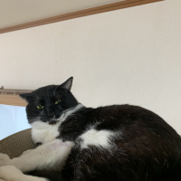 まろ