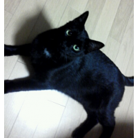 フェデックス