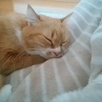 みかんちゃん(^-^)