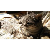 そら