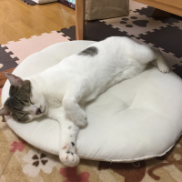 にぃ