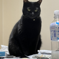 珊瑚