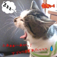 オン（音）