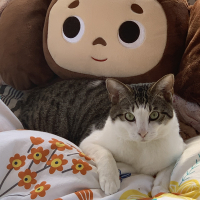 テン