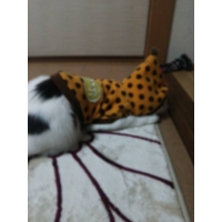 ゆうり