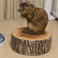 サビタワシ