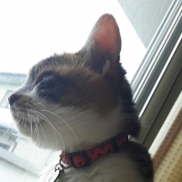 ミルク