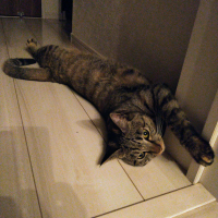 ごま