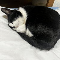 さち子