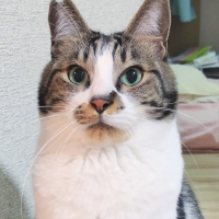 キューちゃん