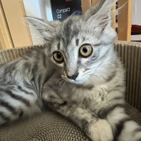 みなみ