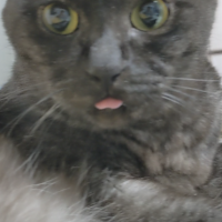 ルイ