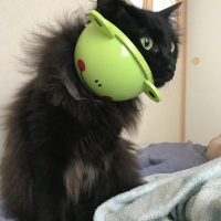 嬉茂（うれしげ）