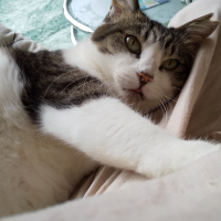 シュリ改名して「スーちゃん」