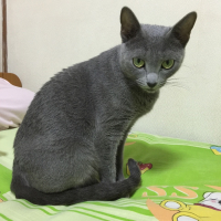 ママ