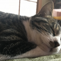 かんた 