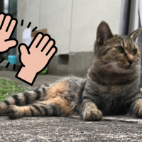 めい