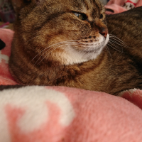 美湖