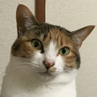 鈴