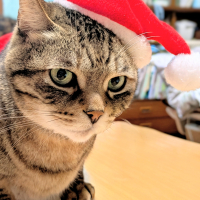 アキ