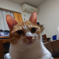 優