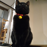 だんご